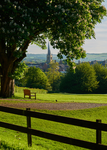 This landscape photograph captures an evening view in late spring from Tapton Park in Chesterfield. The main subject of the image is the spire of the Church of St Mary and All Saints, which rises prominently above the town and is framed by the large flowering tree in the foreground. The composition features lush green grass and a wooden bench positioned on the lawn, with a wooden fence and a backdrop of mature trees. The distant hills and the rooftops of Chesterfield are visible, highlighting the church's iconic spire as a recognizable landmark. The sunlight casts long shadows and illuminates the scene, emphasizing the seasonal vibrancy typical of late spring.